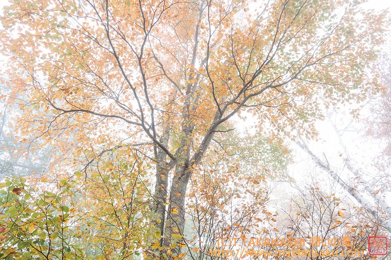 ../Images/7R251019 (296).jpg